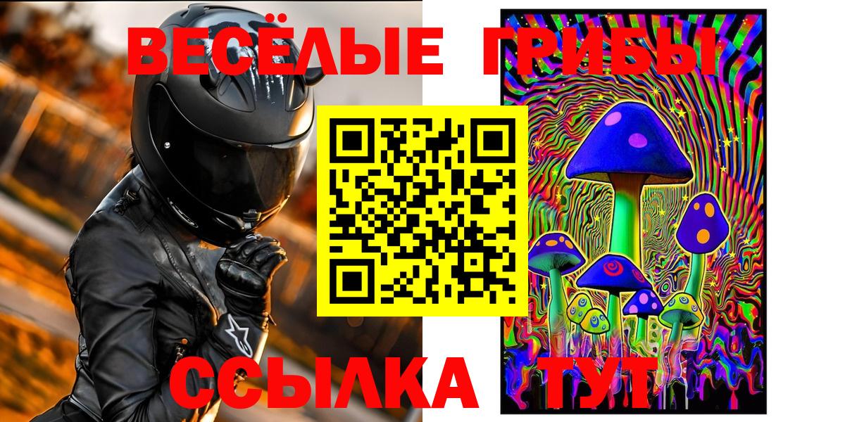 Шебекино  Галлюциногенные грибы GOLDEN TEACHER  Вход с VPN 